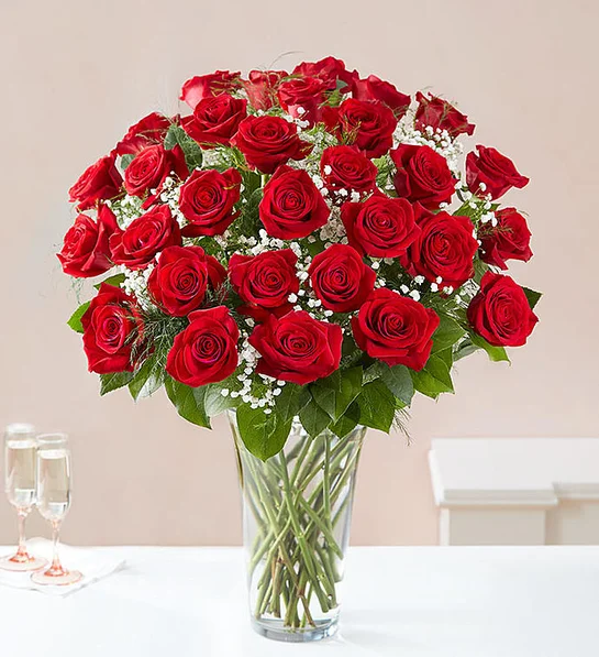 Red Roses - Flowers Freehold