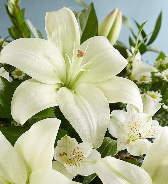 White Lily Bouquet close shot
