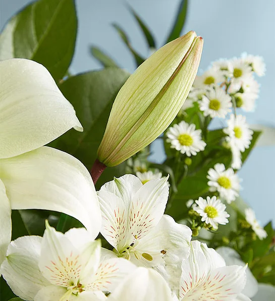 White Lily Bouquet close shot "b"